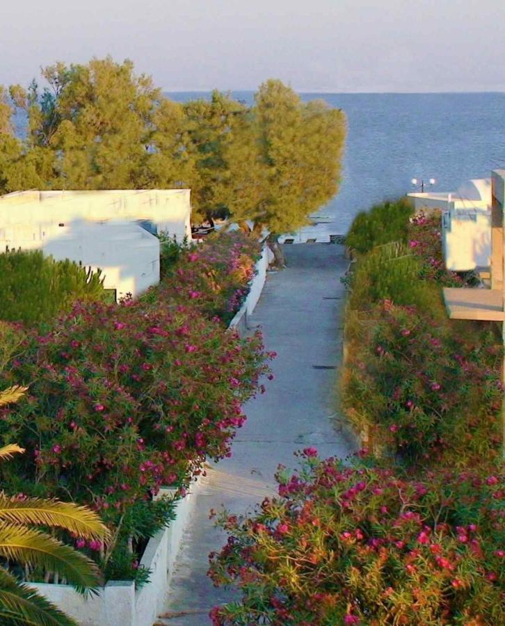Located By The Sea One Beachfront Private Captain Lazaros Pool Villa With Loft In 750Sqm Spacious Private Plot-Jacuzzi-Sunrelax-Furnished Terace-Gazebo-Private Parking,Sleep 3 Adults And 2 Children, Just Steps From The Black Beach-Seaview Perísza Kültér fotó